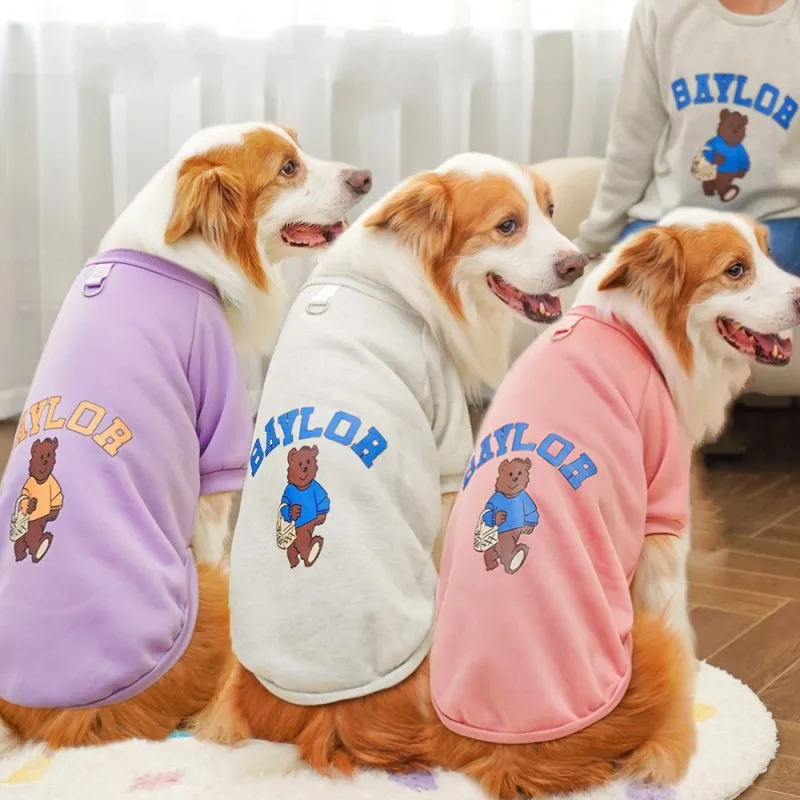 pitbull adidog jumper