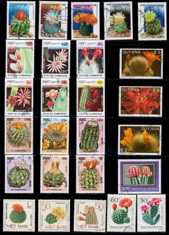 50 PCS Different Cactaceae Stamps From Word, No Repeat, Real Original, Used with Post Mark