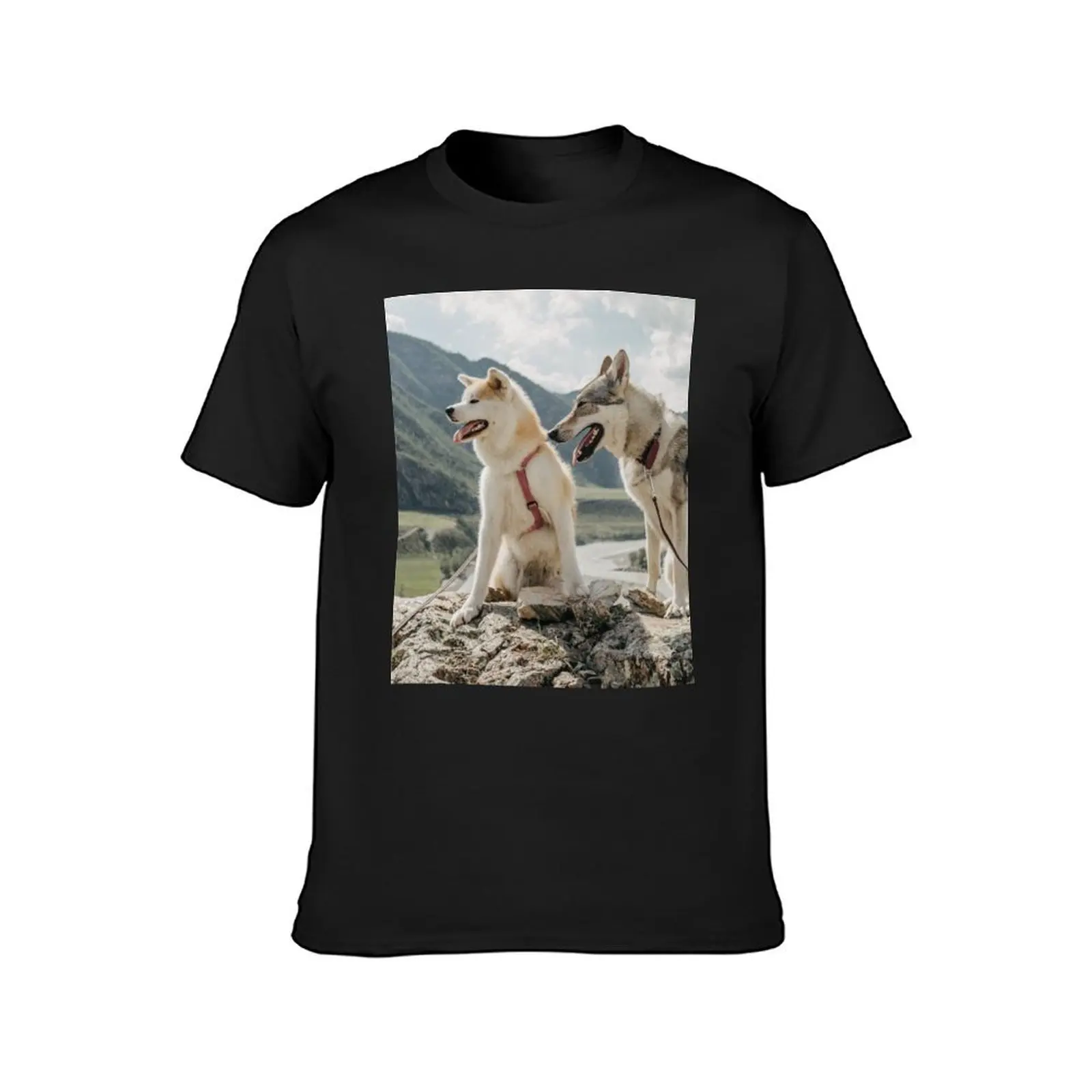 Akita Dog and Husky Dog Having Fun T-Shirt cute tops vintage funnys Men's t shirts