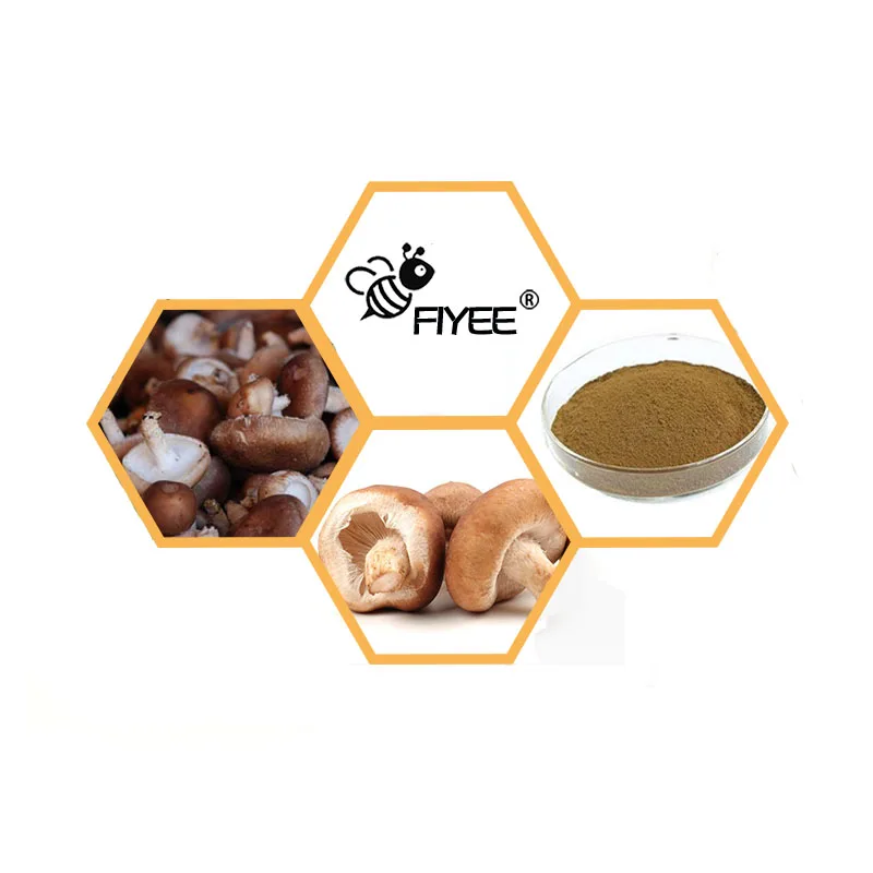 Free Shipping 100g-1000g High Quality AHCC,Shii-take Mus hroom20:1, Mycelia,Xiang Gu