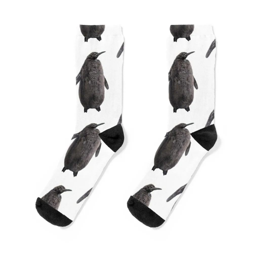 

Pesto Penguin Socks halloween cool snow winter Socks For Man Women's