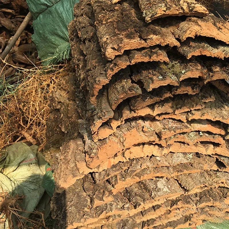 15/30/40cm Drift Wood aquario acessório pet accessories Climber Reptile Lizard bark champagne tree bark Cork Pet Decoration