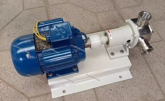 Flexible Rotor Pump for Bean Dregs Soy Milk Jelly Motor Oil Conveying Efficient Food Grade Plastic & Metal Heavy Duty Pump