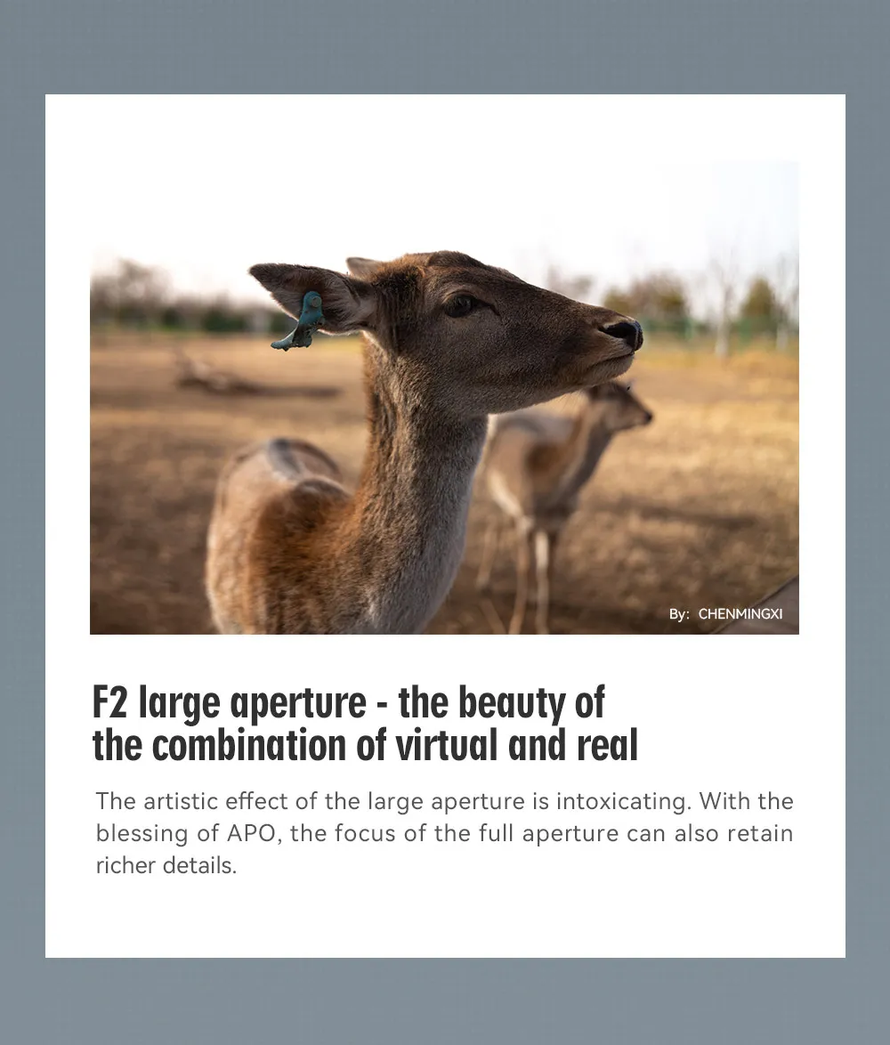 TTArtisan APO M35mm f2 ASPH كامل الإطار دليل فتحة كبيرة رئيس لكاميرات Leica M-Mount Leica M-M M240 M3 M6 M7 M8 M9 M10