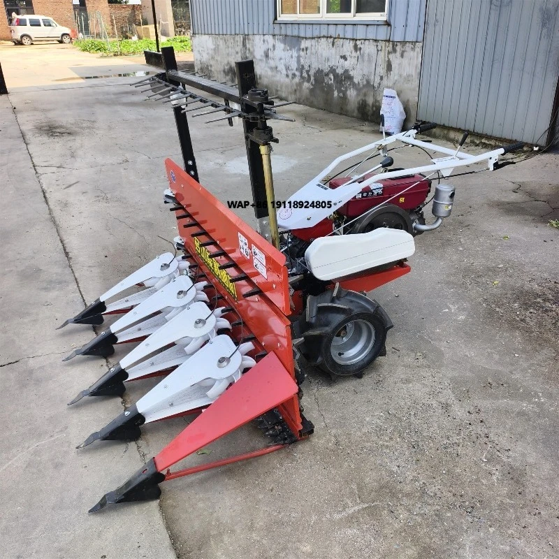 

Small Walk-Behind Forage Reaper for Harvesting Alfalfa Oats Barley Wheat Corn Fodder Grass for Tea & Garlic