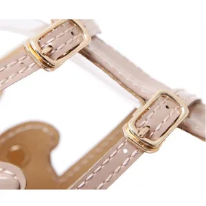 Stylus im Rom im Rom -Stil mit Metallflügeln für Frauen, High Heels, goldenes Leder, offener Fußfinger, Doppelschnalle, Partyschuhe, Frauenmode 8 Hauptverkäufe goldene Lederschuhe - №3