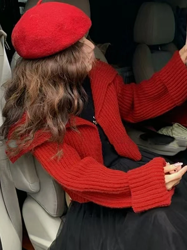 Thiened tricoté ort Cardigan femmes Faionable coréen Sle printemps automne hiver chaud couleur Pure boutonné pull haut