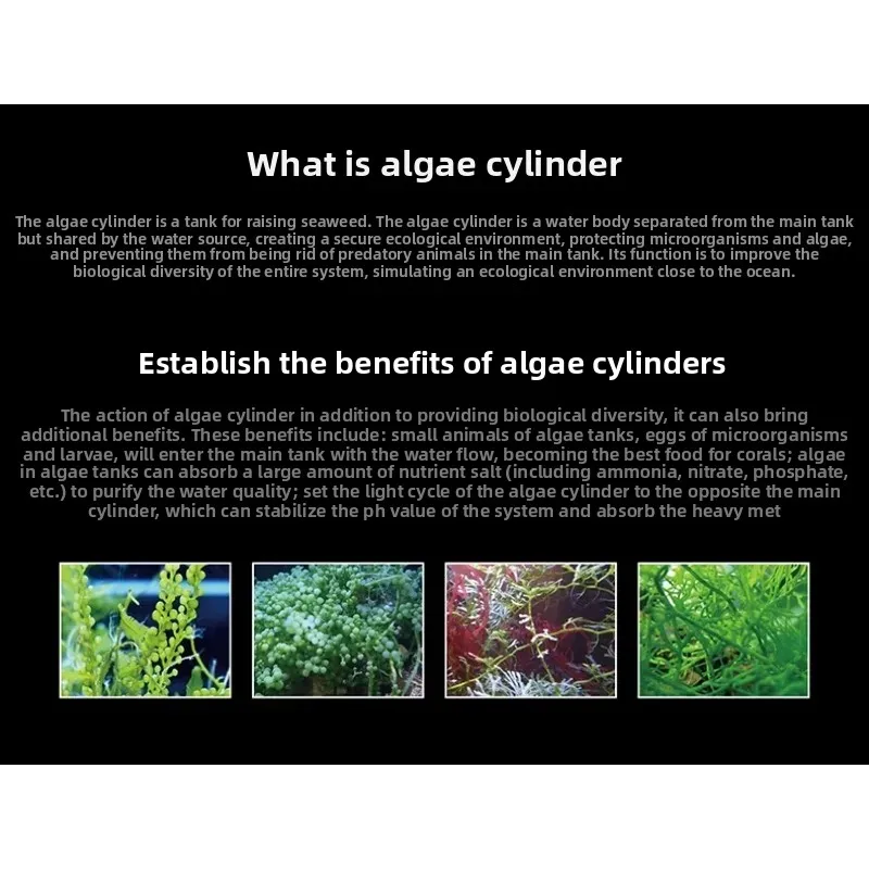 WiFi-Steuerung Algen Tank Meerwasser Koralle LED Algen Explosion Licht Aquarium