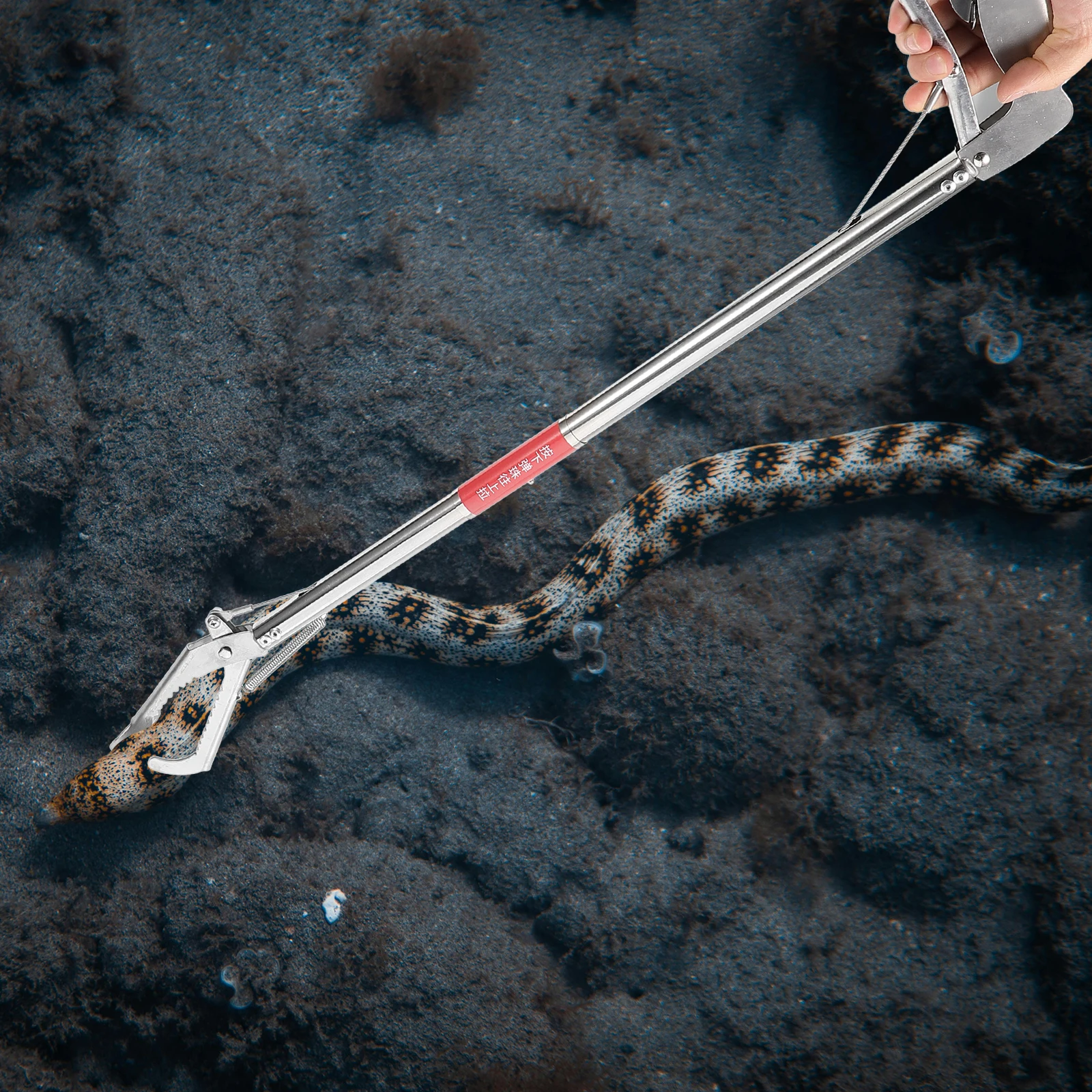 

Stainless Steel Eel Tong Crab Tong Non-Slip Clamp Scissor Design Lobster Clip Multi-Function Sea Crab Clamp Snake Trap
