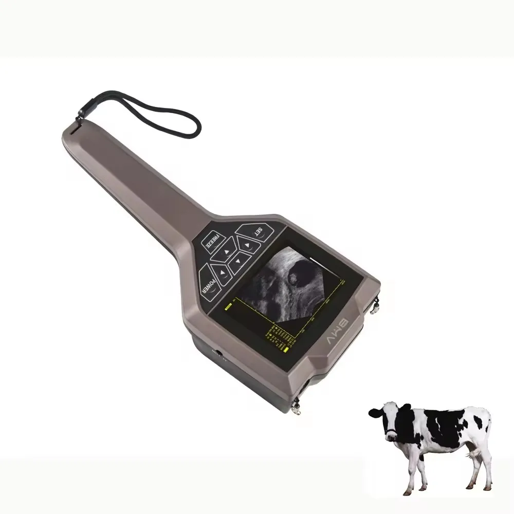 

Veterinary Ultrasound Equipment