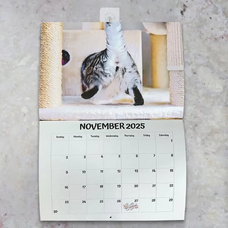 Cat Butt Calendar for Home Wall Decoration, Estranho, Engraçado, Vertical, Mensal, 2022