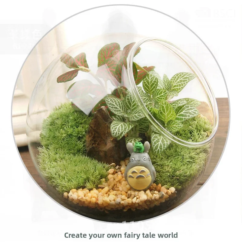 

DIY Моховый микропейзажный комплект, креативный зеленый растительный комплект ручной работы, офисный декор, набор стеклянных бутылок, экологически чистый орнамент, подарок