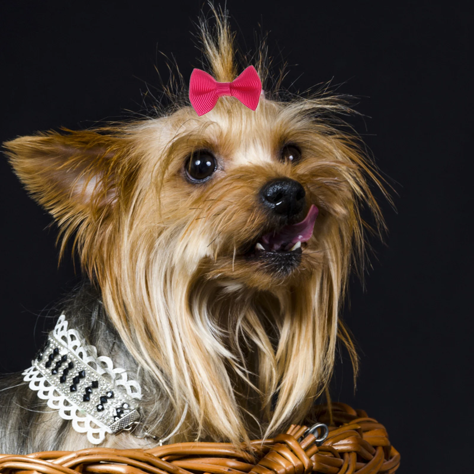 

40Pcs Hair Bows for Dogs Female Pet Bow Accessories Small Size Dog Hair Ties Eye Catching Design for Puppies Dress Up Fun