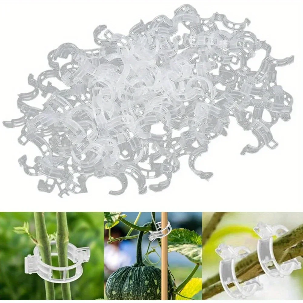 

Secured Plastic Plant Clip, Garden Clips for Climbing Plants, Support Clips Tomato Grape Vine Vegetables Plant Fixing Clips