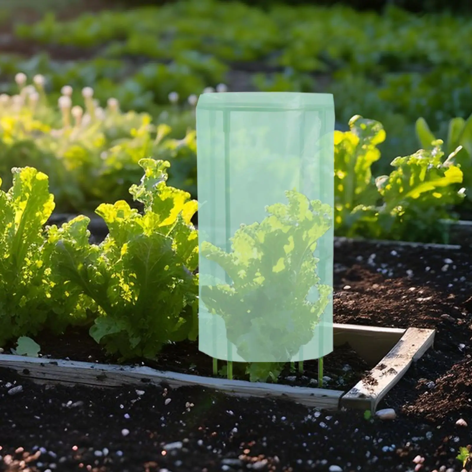 

Защитные чехлы для садовых растений, 2 шт., защитные чехлы для рассады, для сада, удобная установка, защитная защита для фруктов