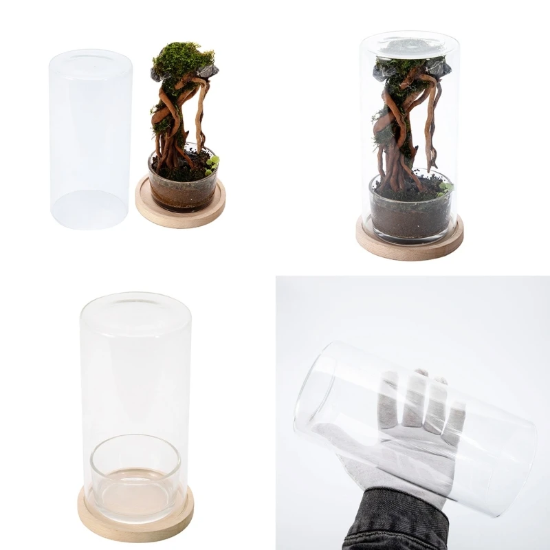 Desktop Hydroponic Ecosystem Bottle Plant Glass Bottle Pots for Office Decors Air Purifications With Glass And Base B03E