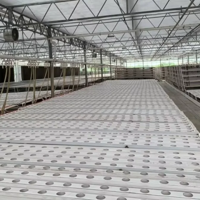 

Customized greenhouseLettuce Horizontal Mode NFT Pipeline Hydroponic Cultivation System Greenhouse with PC Glass Film Covering