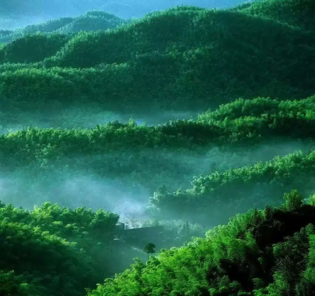 

Portable 448KHZ RFTecar Therapy RET CET Diathermy Body Sliming Machine Pain Relief Skin Tightening INDIBA Deep Care