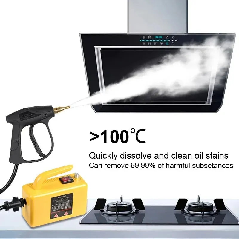 2600W High Temperature Steam Cleaner Air Conditioner Kitchen Handlend Hood Car Steam Cleaner Machine Home Appliances 110V 220V