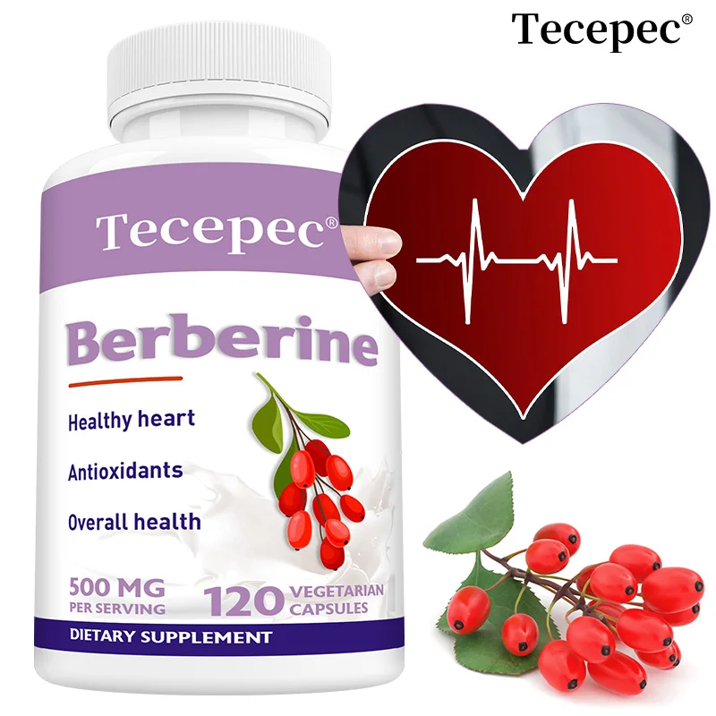 Berberine Supplement 500 Mg, Supports Cardiovascular, Heart and Overall, Antioxidant, High Potency, Berberine HCI, Vegan