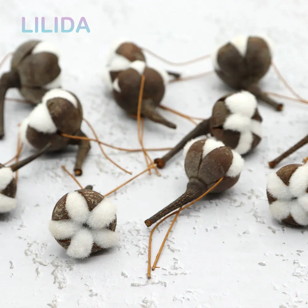 12 Artificial Kapok Natural Dried Flowers Simulation Cotton Wedding Room Easter Decoration Supplies DIY Wreath Bouquet Gift Box