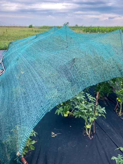 2025Customized HDPE High Quality UV Resistant Outdoor Sunshade Net for Agriculture Greenhouse