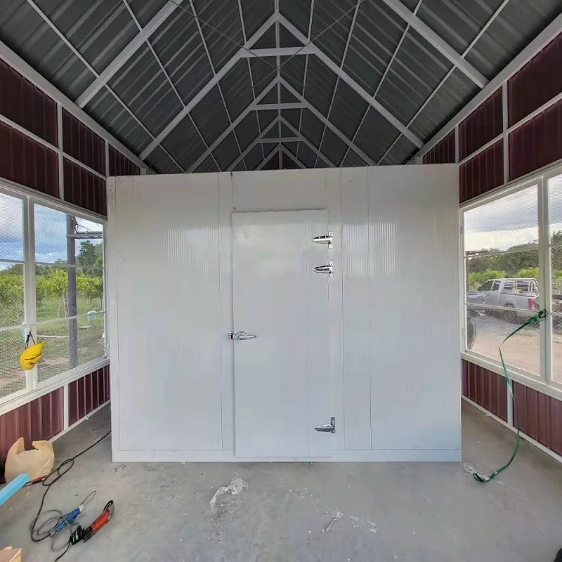 Maßgeschneiderter industrieller Kühlraumbehälter / gewerbliche Kühlbewahrung / begehbare Gefrierraum