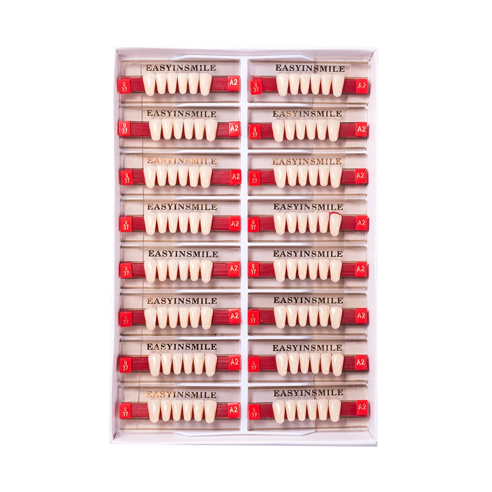 Рисунок 4 - зубы из акриловой смолы