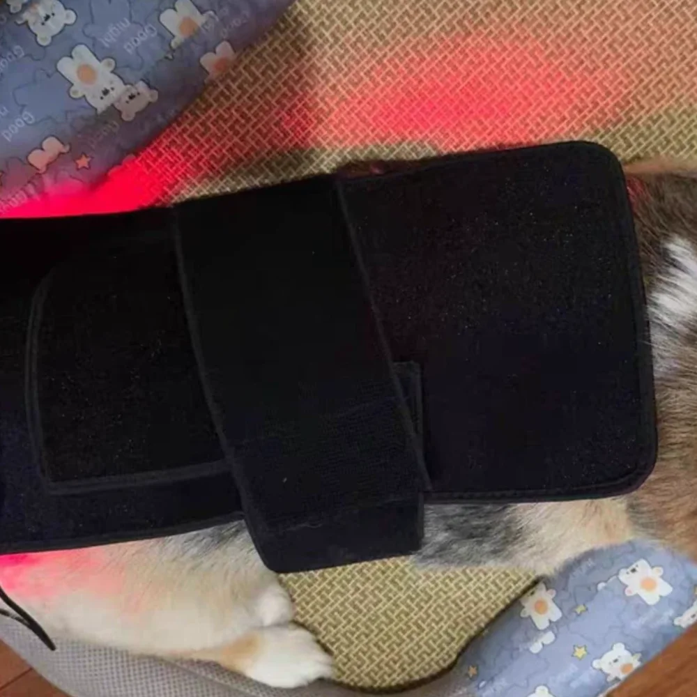 Veterinary Red Light Therapy Lamp, Professional Animal Physiotherapy for Pain Relief and Inflammation Reduction in Pets