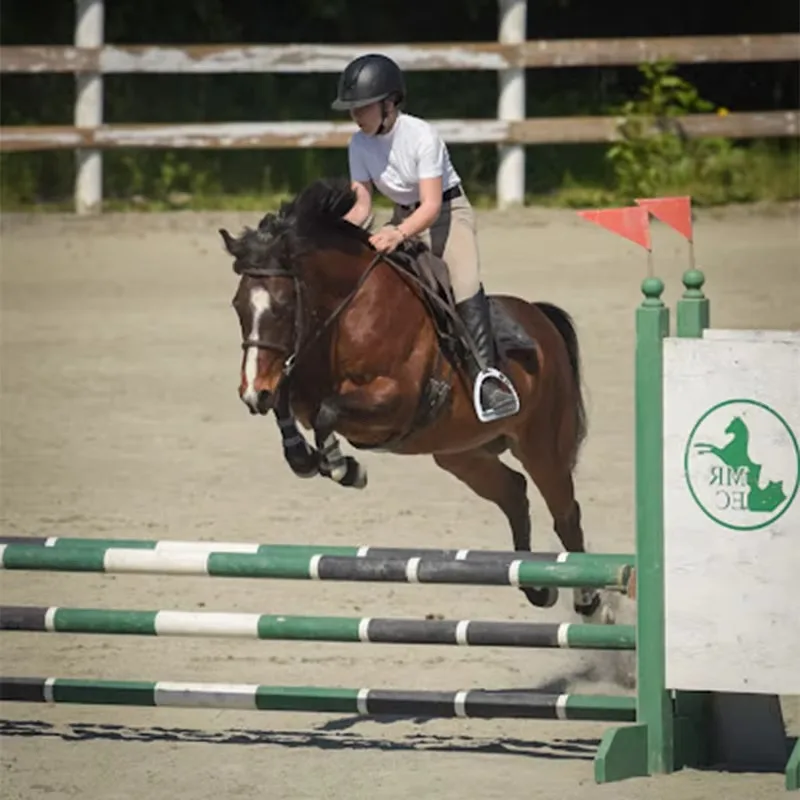 

Custom Steel and PVC Equipment for Equestrian Clubs Training Courses and Competition Level Riding Activities Horse Jumping
