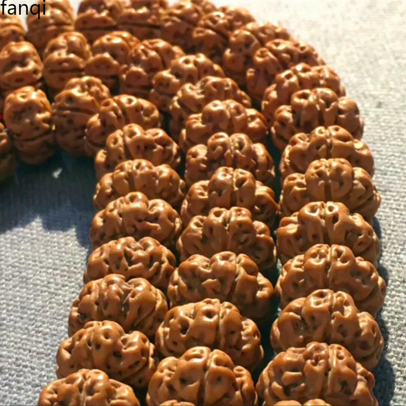 Little King Pipal Seeds 108 Aircraft Carriers Full Of Meat Corpulent UFO Plum Tree Wang Yuan Seed