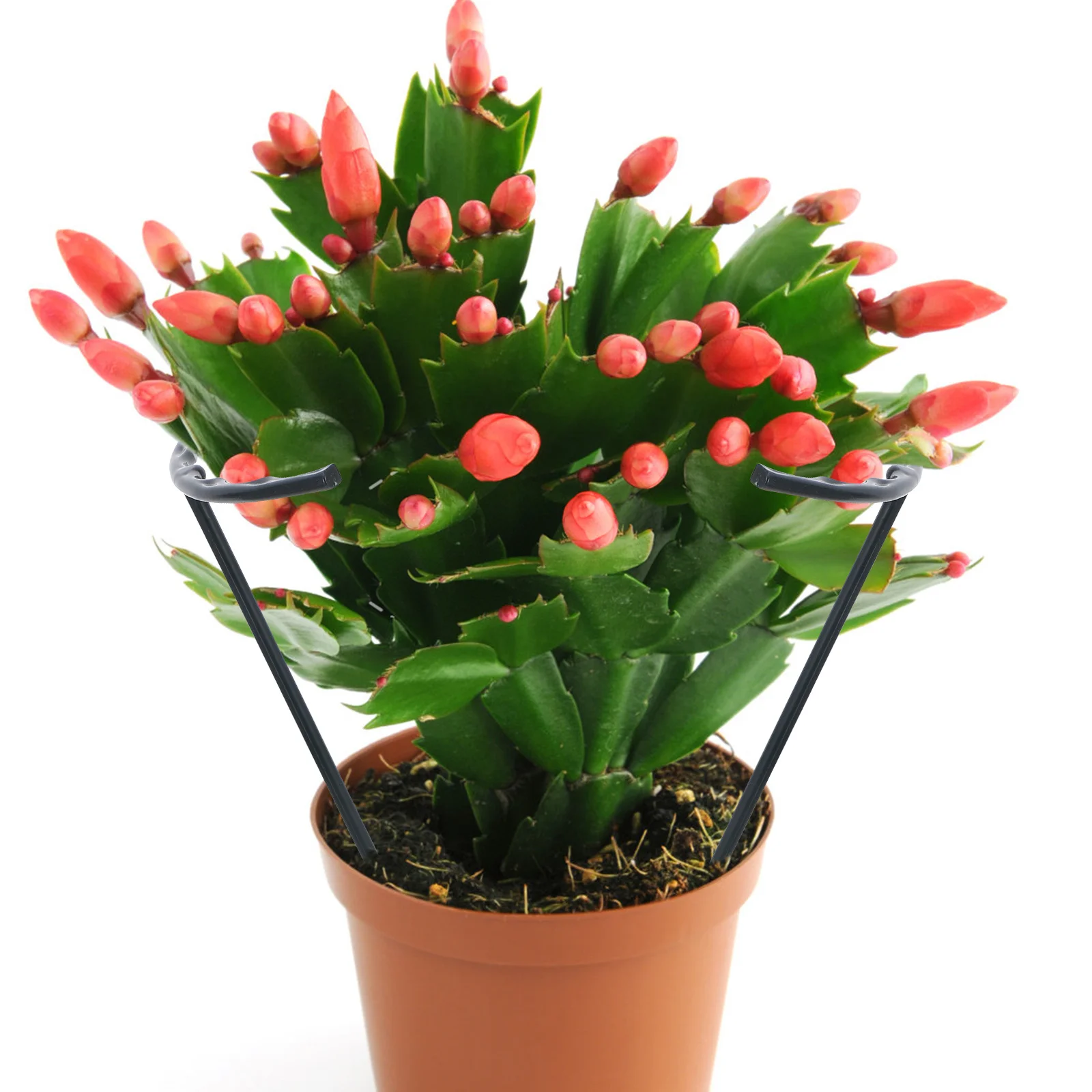 

1 set 1 Set Plant Support Stakes Pvc Semicircular Design For Indoor Outdoor Garden Plants Climbing Vine Support Half Round Plant