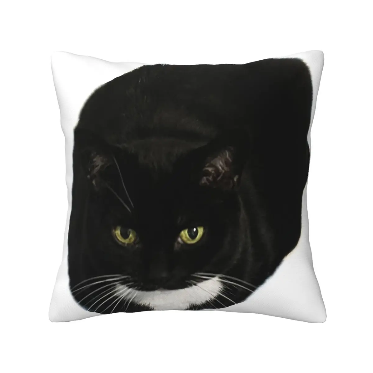 

Cute Cat Loaf Black White Tuxedo Cat Funny Soft fabric home decor Drop Shipping printed 50x50cm sofa cushion