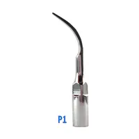 1PC Dental Scaler Tips Scaling Periodontics Endodontics Scaler Tip G1 G2 G3 G4 G5  P1 P2 P3 E1 E2 E3 E4Ultrasonic Scalers