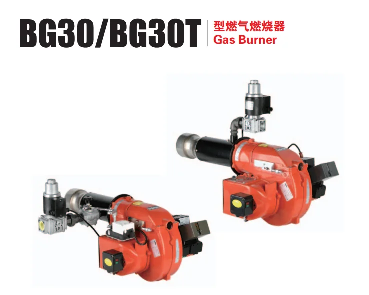 

BAIRAN BG30 GAS Burner（PRICE TERM BASE ON CIF, IMPORT CUSTOM TAXES CHARGES TAKE BY BUYER）