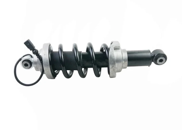 4S0512020 Rear L+R Coil Spring Shock Absorber Assy for Au di R8 Spyder 4S9 2016-2021