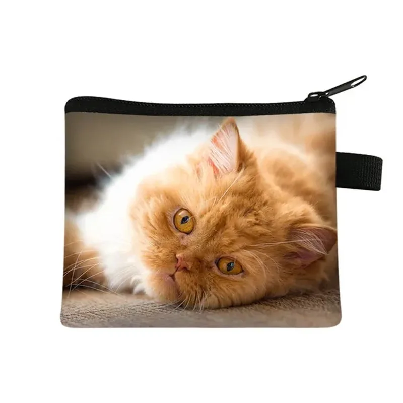 New Cute Animal Persian Cat Print Coin Purse Women Pet Pattern ID Credit Card Earphones Coin Bags Zipper Pouch Money Storage Bag