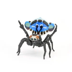 BANDAI Biological Encyclopedia Action Figures Model Peacock Spider Poison Spider Jumping Spider Simulated Insect Gashapon