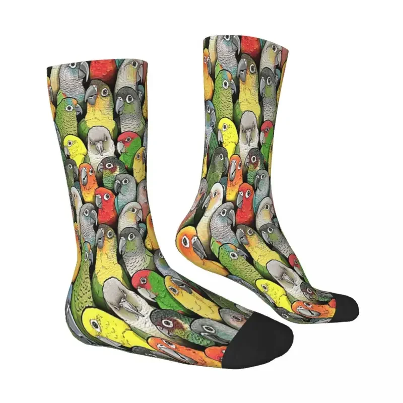 Y2K Colour Of Conures Parrot Bird Socks Male Mens Women Summer Stockings Hip Hop