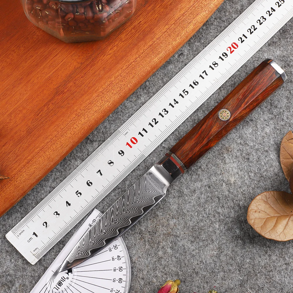 

3 Inch VG10 Damascus Steel 67-story Kitchen Multifunctional Outdoor Wild Fruit Knife EDC Tool