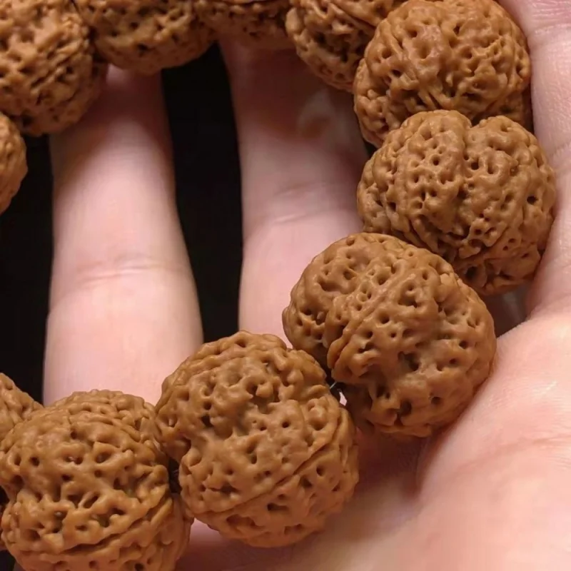 Nepal Five Faces Rudraksha Bracelet Original Seed Boutique Full of Meat