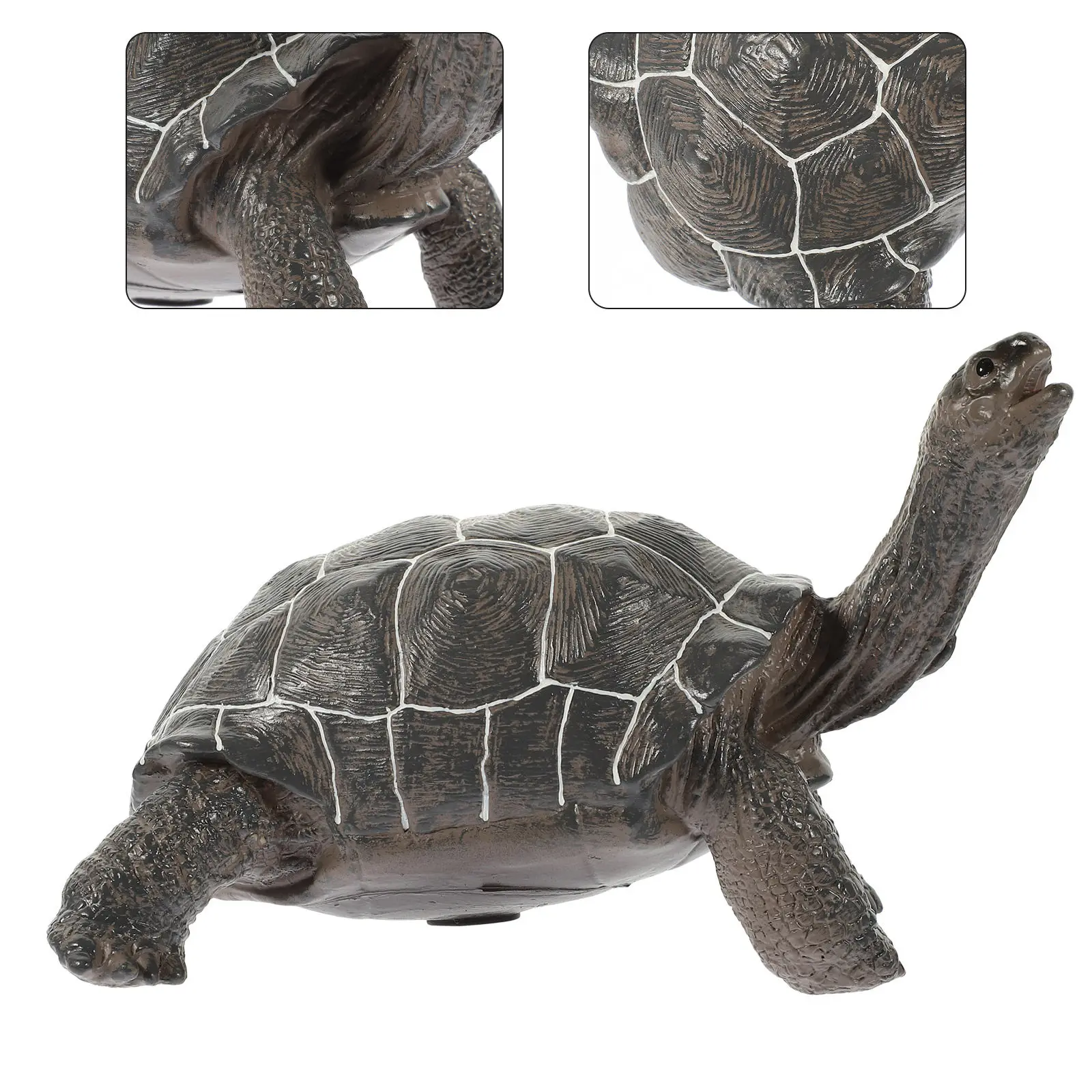 

Lifelike Simulation Turtle Figure Made of Vinyl Cotton for Children's Cognitive Development Fish Tank Room Nursery Marine Style