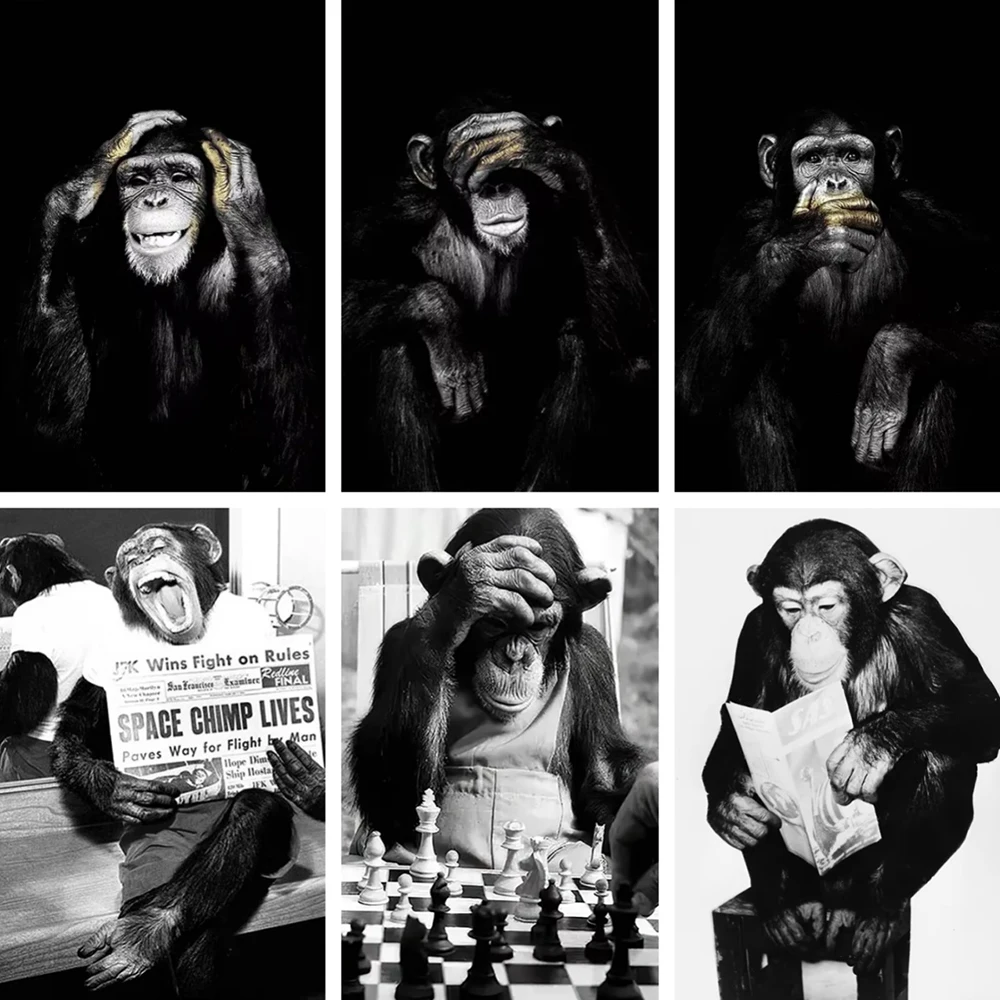 Monkey Playing Chess Canvas Classic Vintage Black White Wall Art Picture Funny Animal Printed Poster Home Decorative Painting