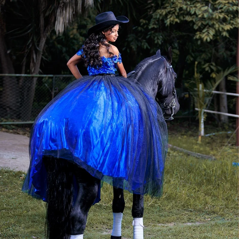 Brilhante azul royal quinceanera vestido de renda cristal glitter flor decalque cauda longa vestidos de 15 quinceanera ﻿ Personalizado