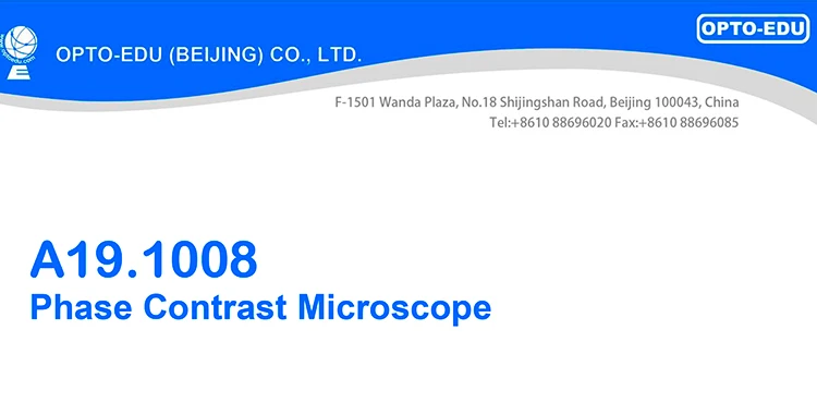 OPTO-EDU A19.1008-40 40x-1000x Binocular cheap phase contrast microscope