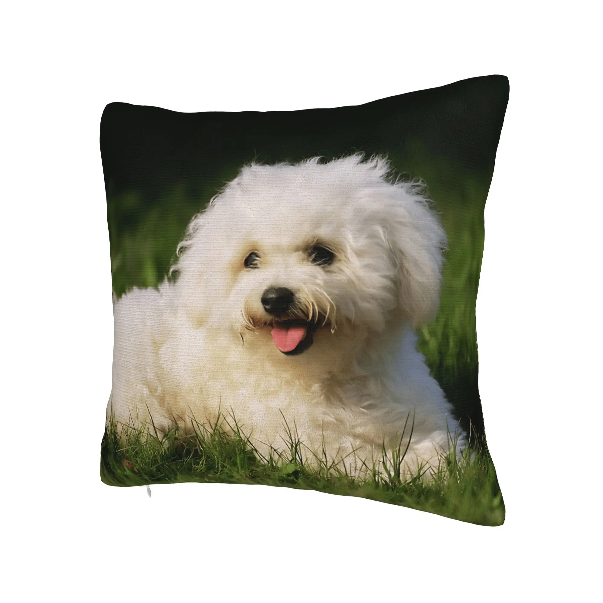 Cute Bichon Frise Pillow Case  Soft Pillow Cover Morden Cushion Cover For Living Room Bed Chair