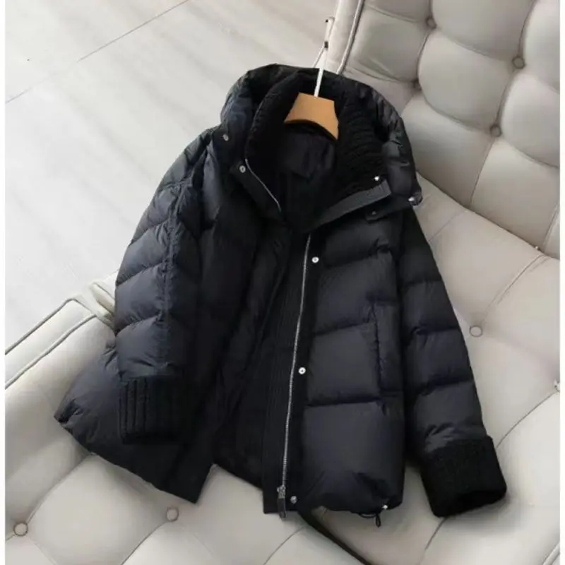 Winter New Down Cotton Padded Jacket Women\'s Hoodie Fashion Loose Large Size Thickened Snow Parka Full Zip Quilted Jackets