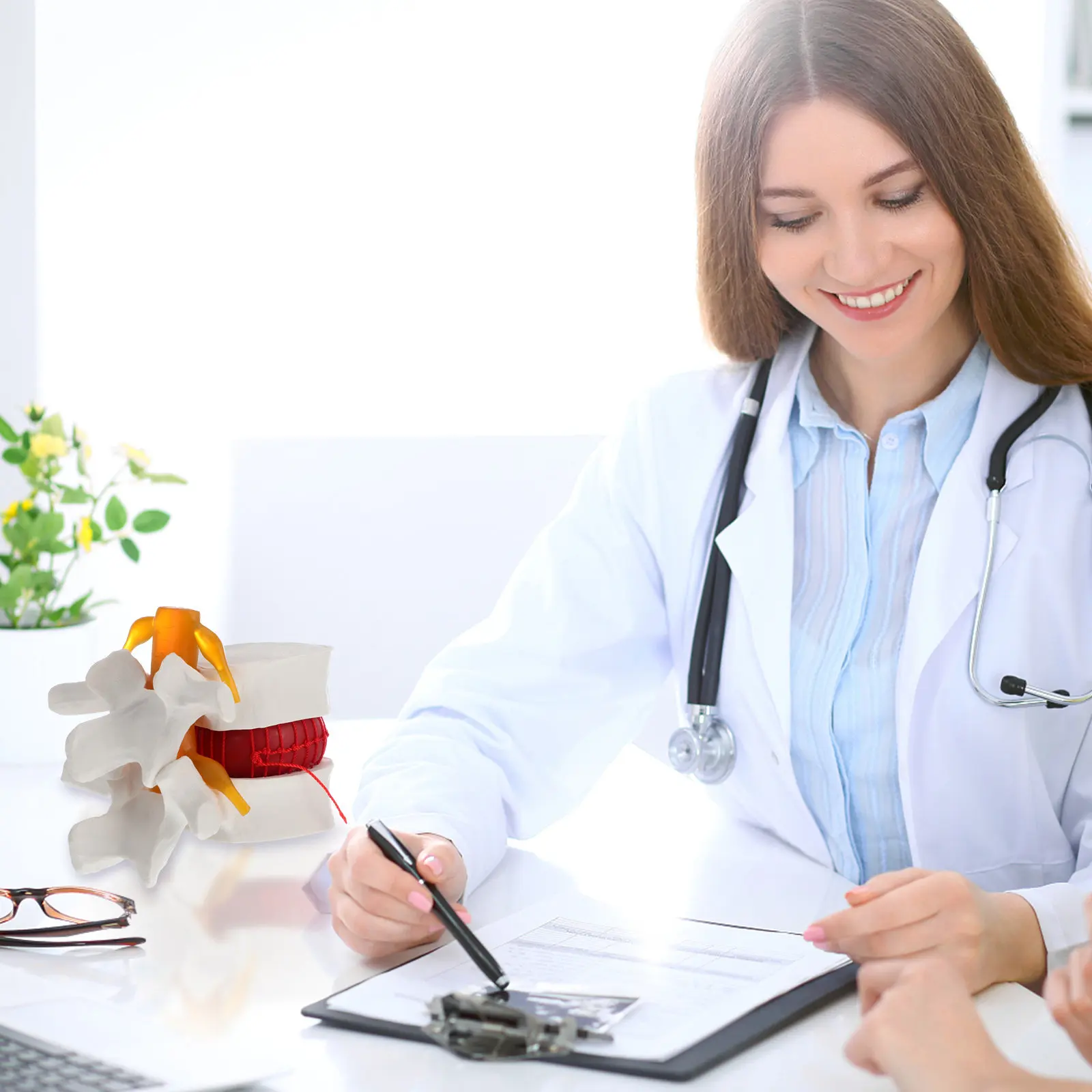 

1 шт. Прочный анатомический макет позвоночника человека из ПВХ для обучения врачей, медсестер и студентов-медиков