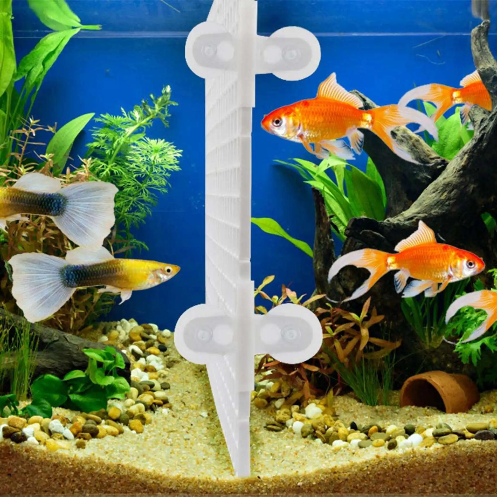 

A02M-20PCS Aquarium Divider Fish Tank Divider Filter Grids Separation Grid Tray Isolation Board Grid With 20 PCS Sucker Clips