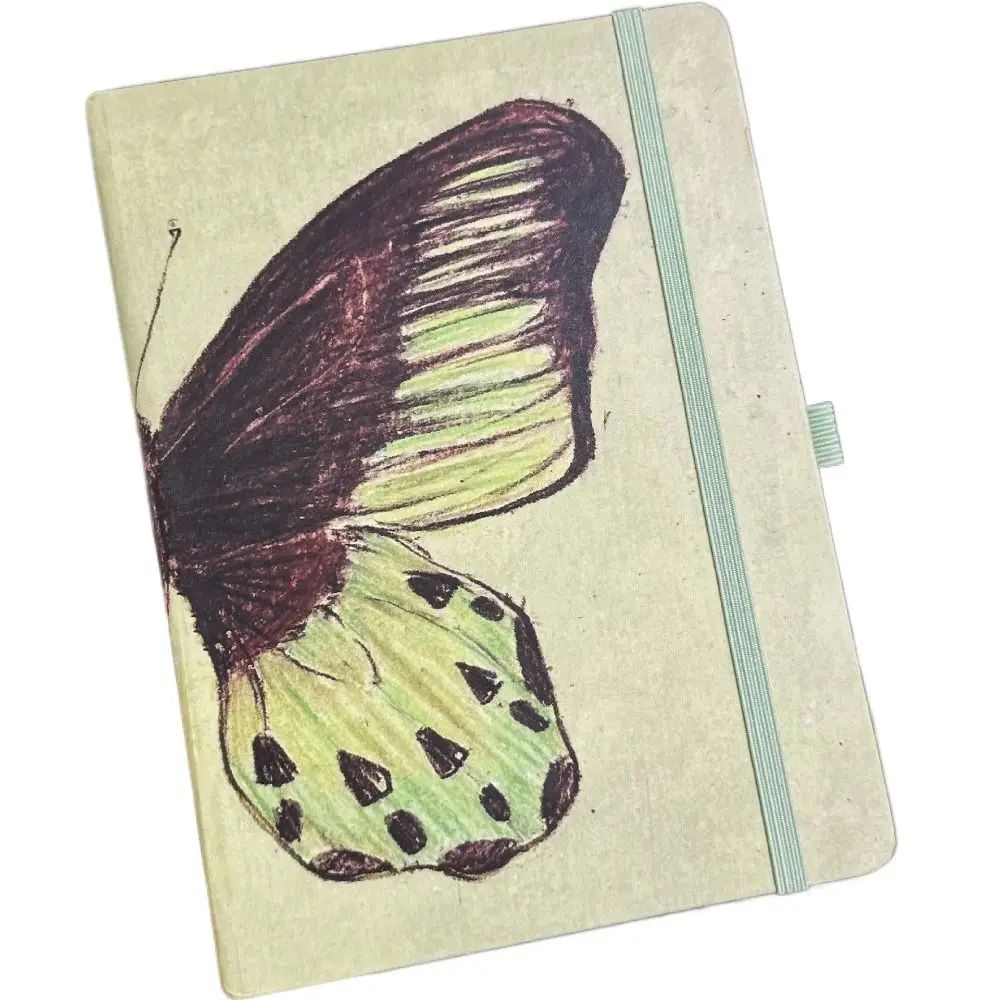 Blank Inner A5 Notebook Mint Green 80Sheets Butterfly Notebook Sketchbook Student Memoirs Journal Daily Planner Agenda Notepad